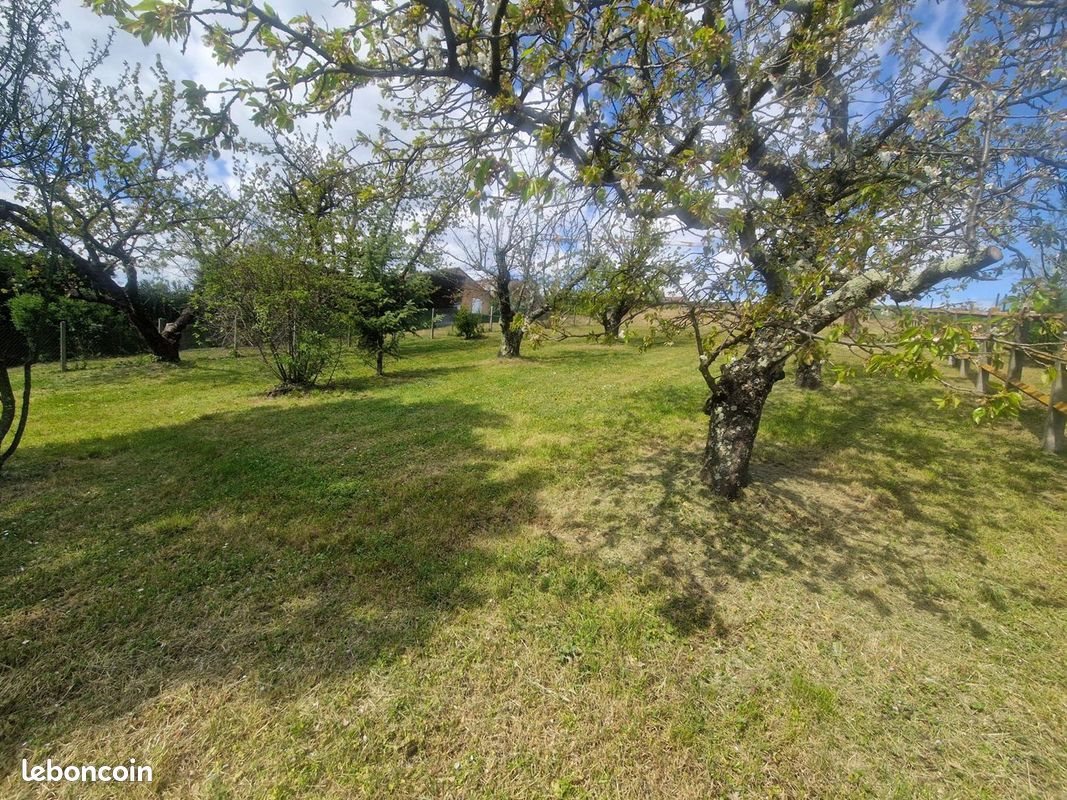 Maison à vendre, 315m², Chanas
