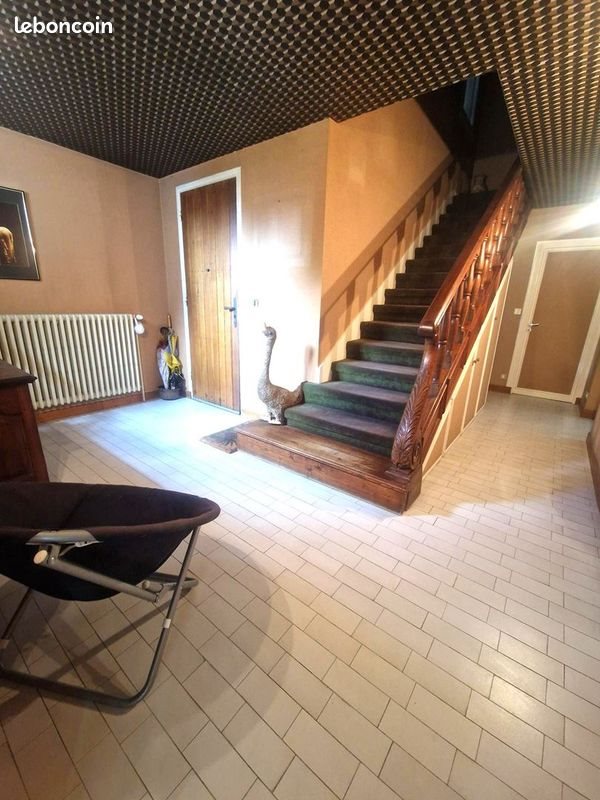 Maison à vendre, 315m², Chanas