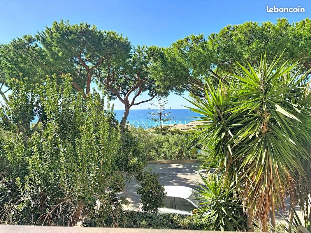 Appartement à louer, 35m², Ajaccio
