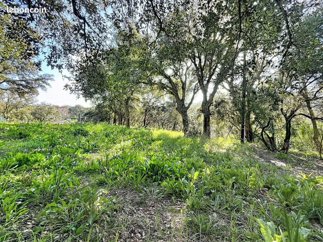 Maison à vendre, 145m², Appietto