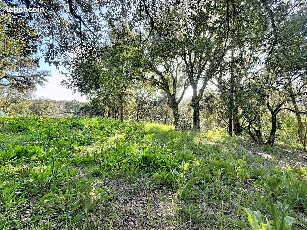 Maison à vendre, 145m², Appietto