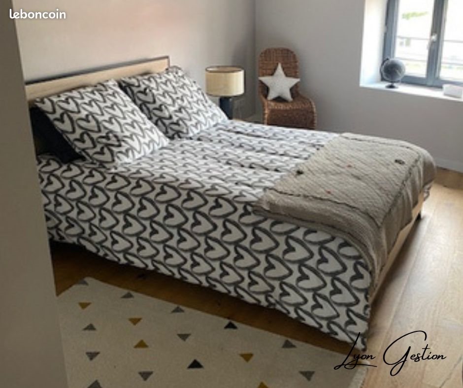 Appartement à louer, 137m², Genilac