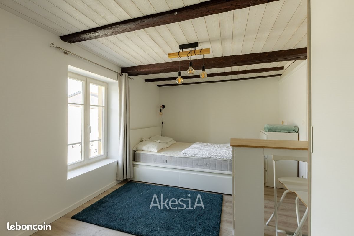 Appartement à vendre, 24m², Nancy