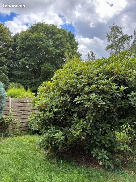 Maison à vendre, 86m², Rennes