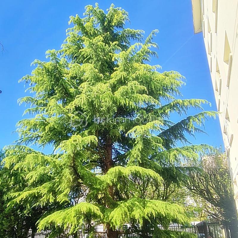 Appartement à vendre, 41m², Choisy-le-Roi