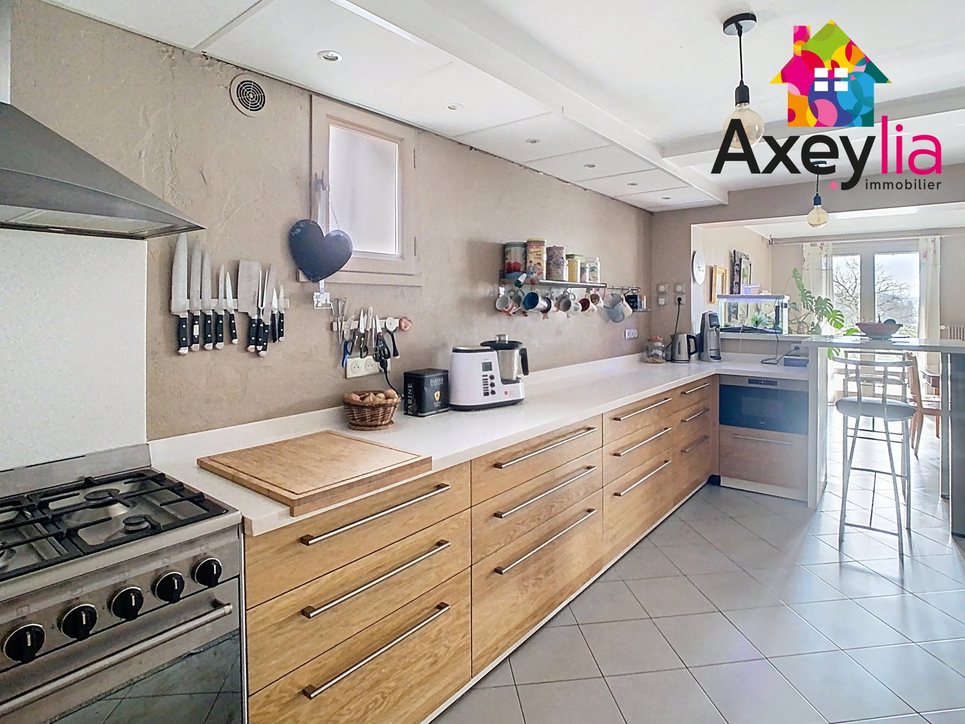 Maison à vendre, 303m², Saint-Léger-sur-Roanne