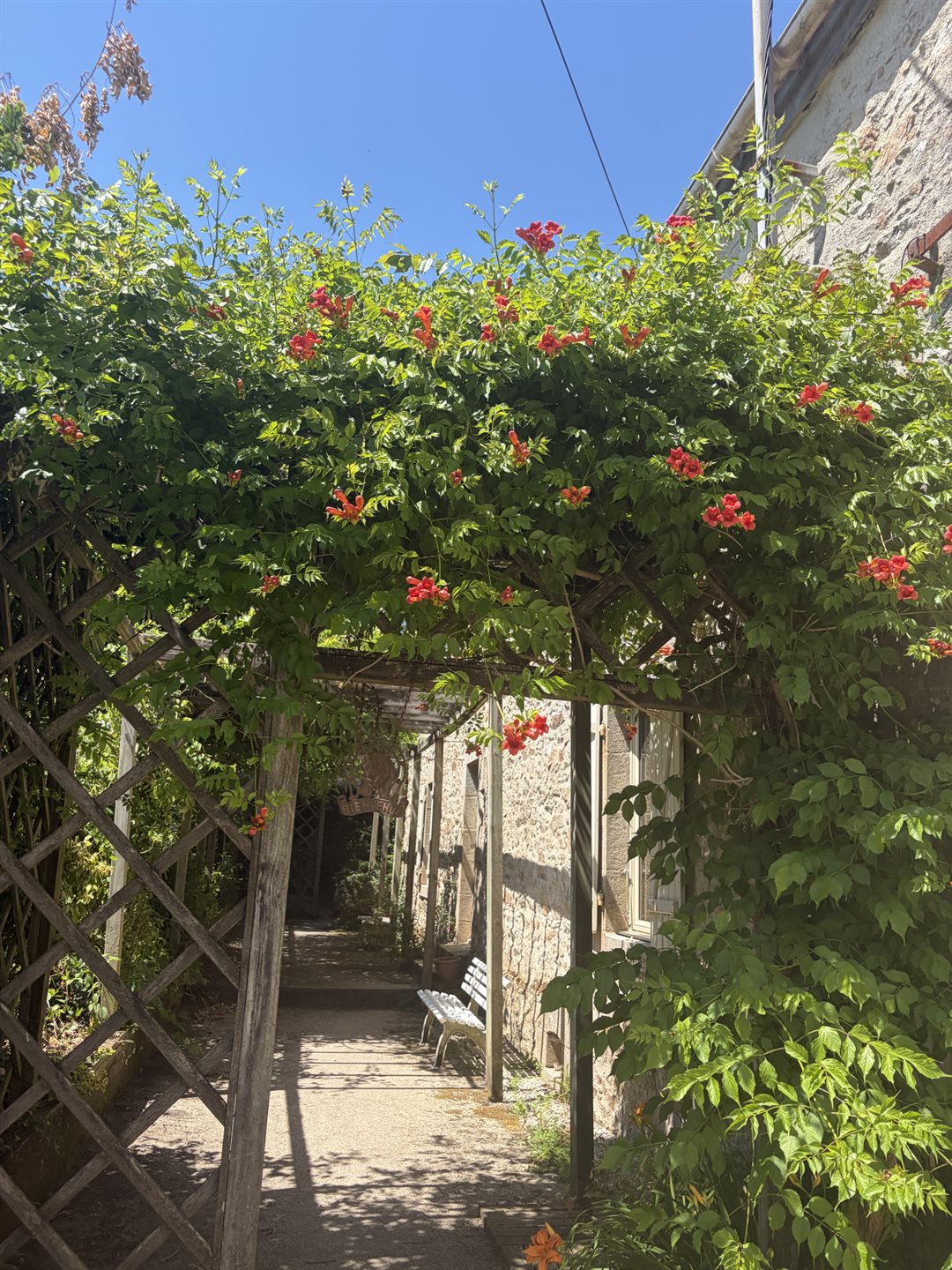 Maison à vendre, 194m², Palluau