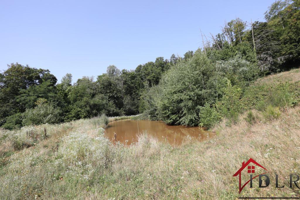 Maison à vendre, 80m², Ronchamp
