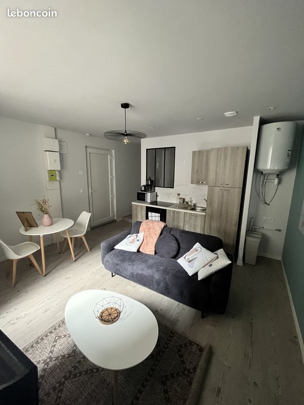 Appartement à louer, 38m², Saint-Étienne