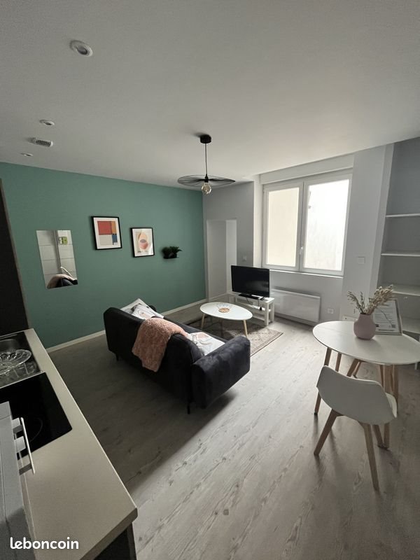 Appartement à louer, 38m², Saint-Étienne