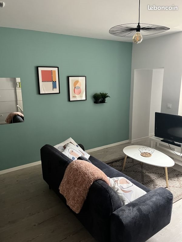 Appartement à louer, 38m², Saint-Étienne