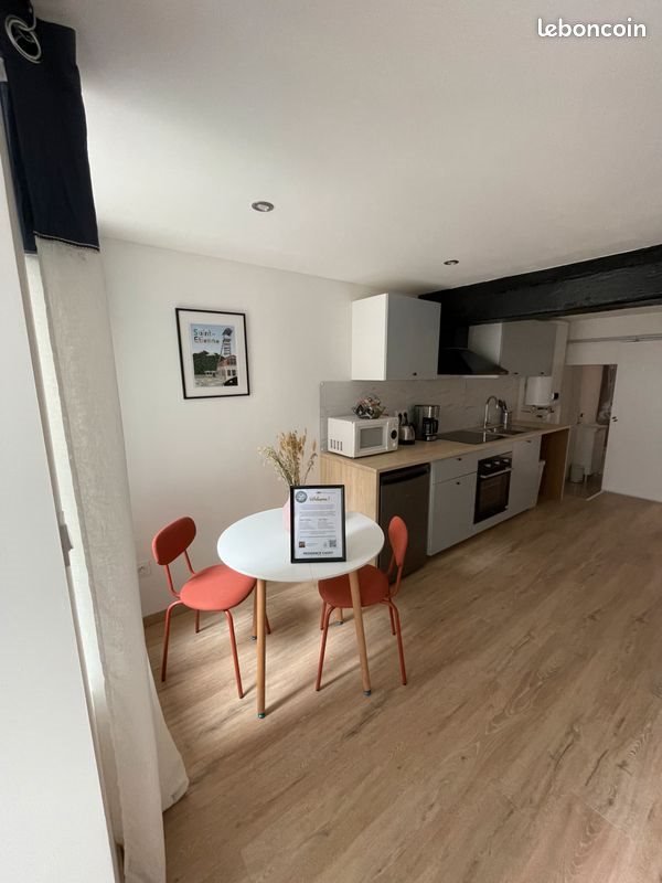 Appartement à louer, 38m², Saint-Étienne