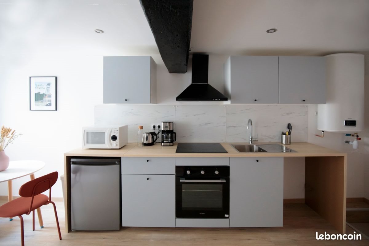 Appartement à louer, 38m², Saint-Étienne