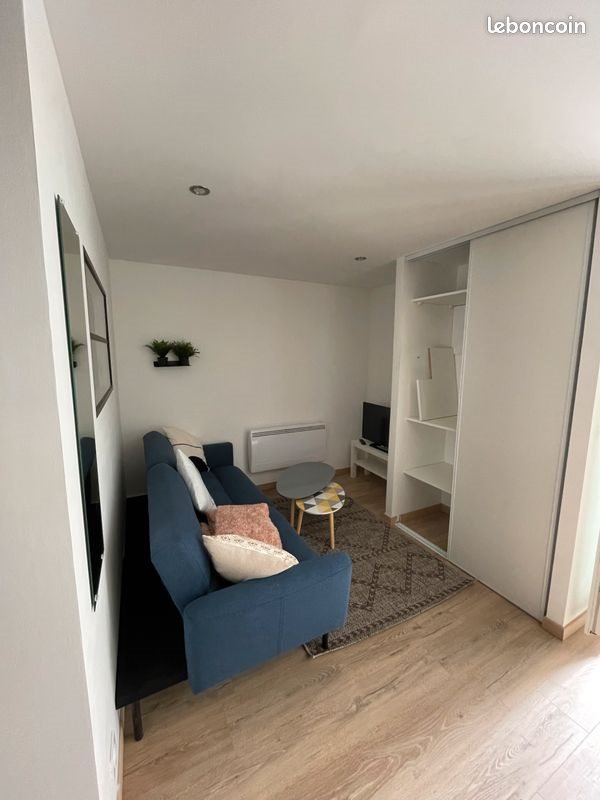 Appartement à louer, 38m², Saint-Étienne