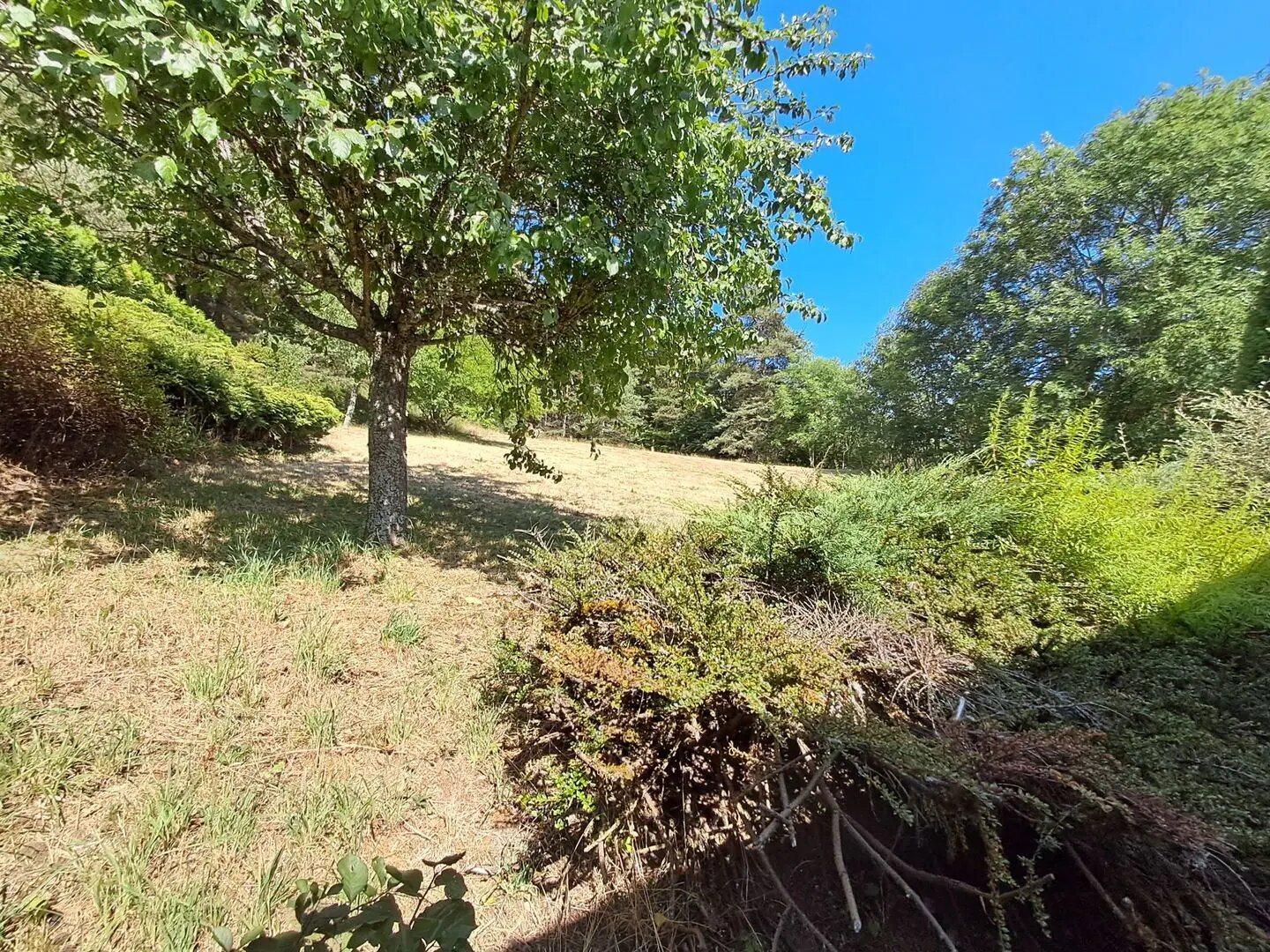 Maison à vendre, 135m², Usson-en-Forez