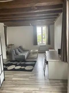 Appartement à louer, 41m², Tours