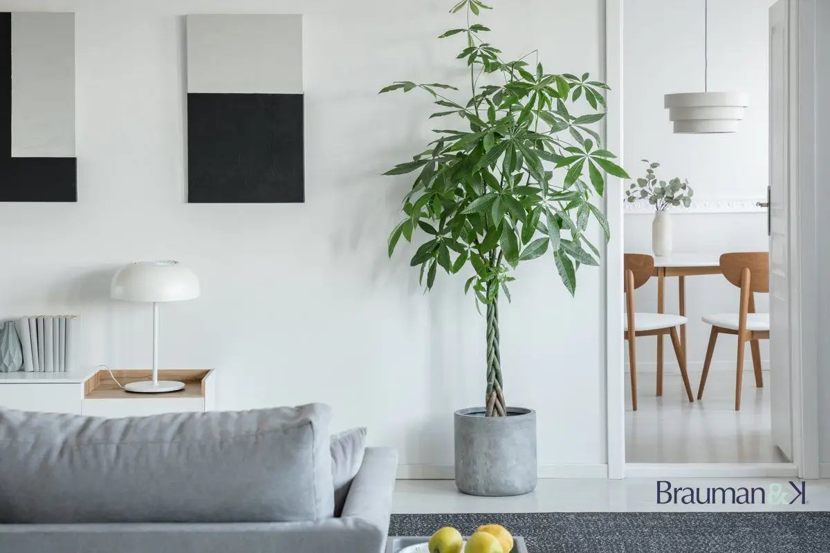 Maison à vendre, 80m², Authie