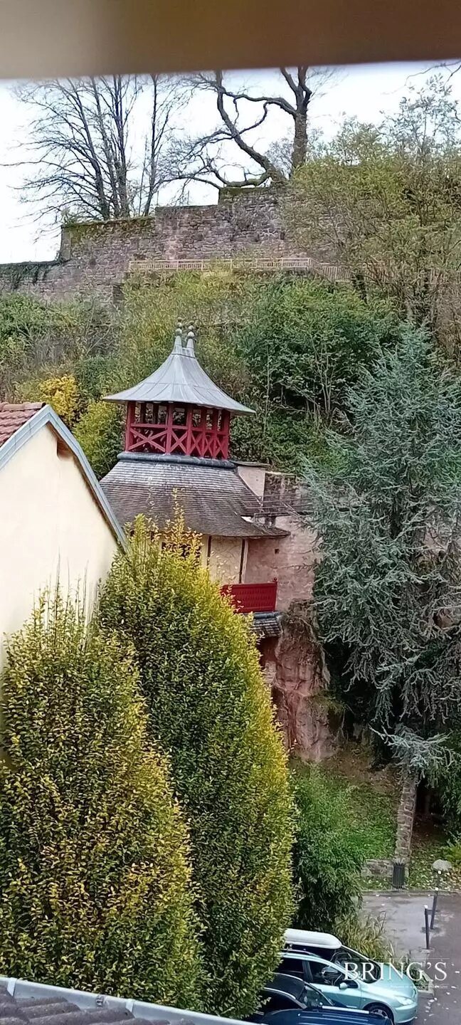 Appartement à vendre, 262m², Épinal