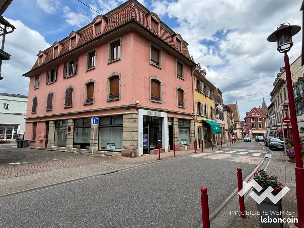 Appartement à vendre, 200m², Munster