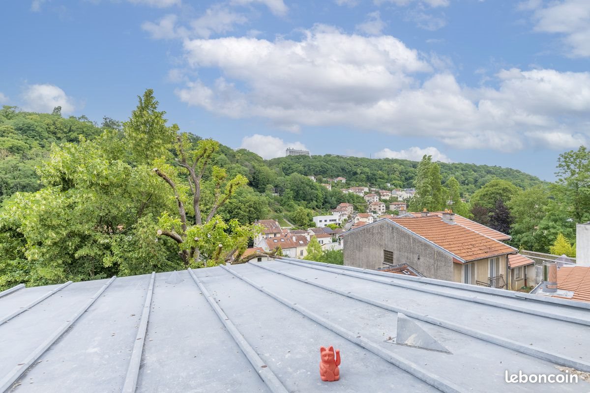 Appartement à vendre, 25m², Nancy