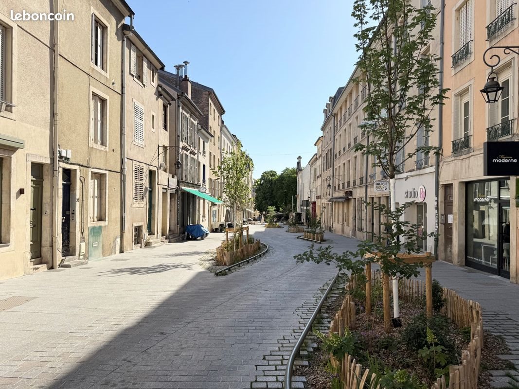 Appartement à louer, 46m², Nancy