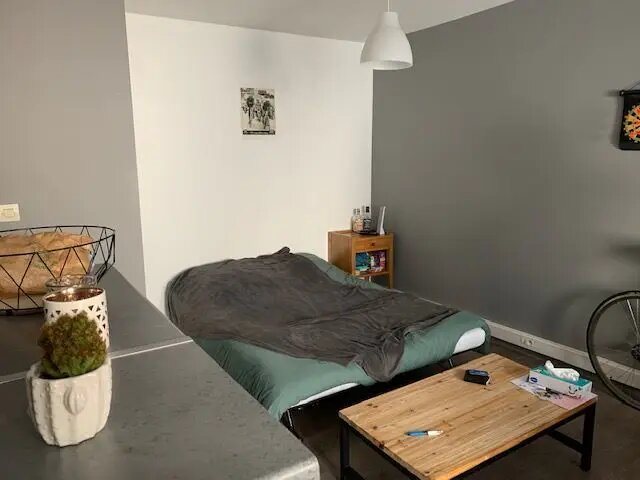 Appartement à louer, 27m², Saint-Etienne