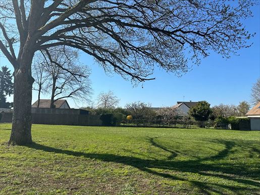 Advert pic 0