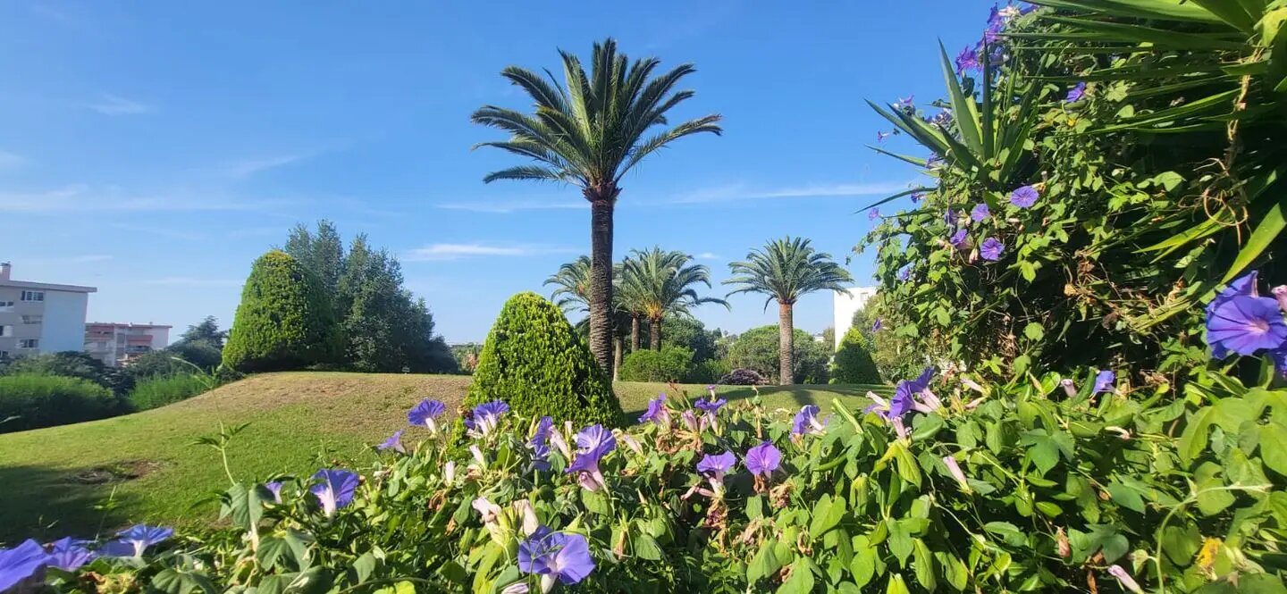 Appartement à vendre, 50m², Cagnes-sur-Mer