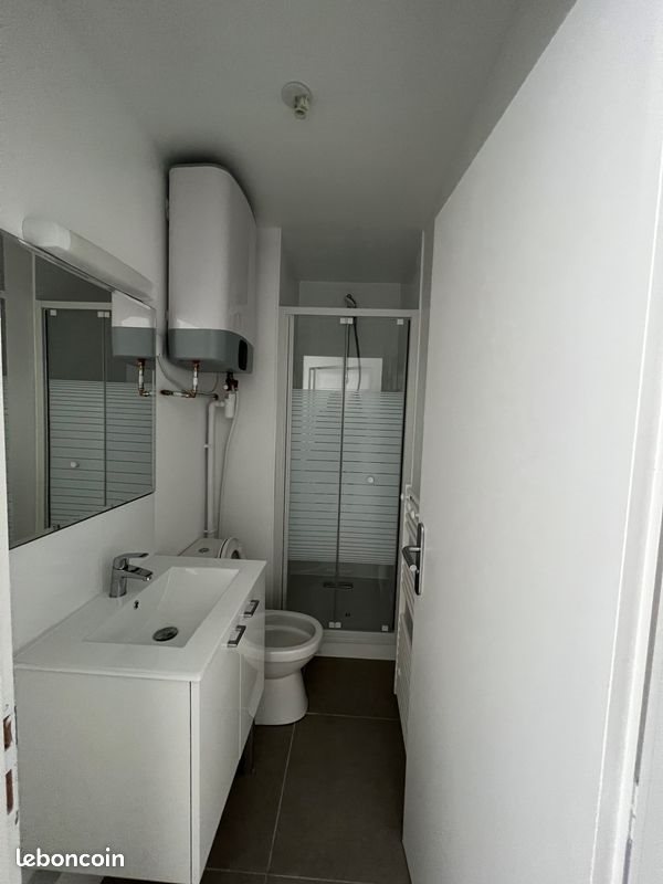 Appartement à louer, 266m², Lille