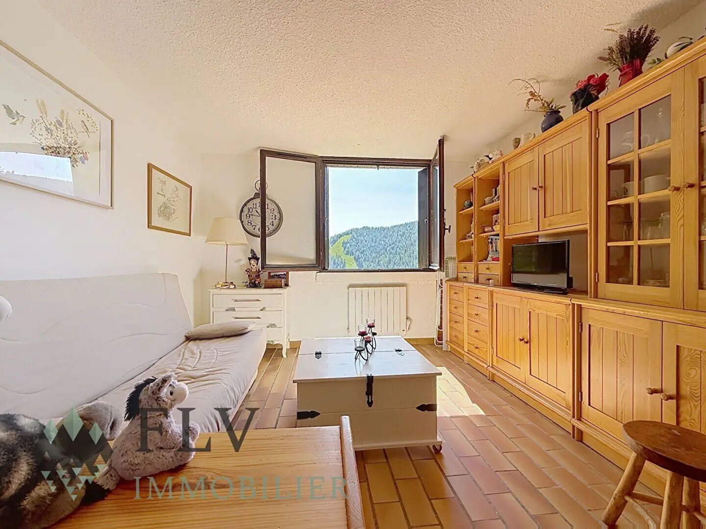 Appartement à vendre, 35m², Valdeblore (La Colmiane)