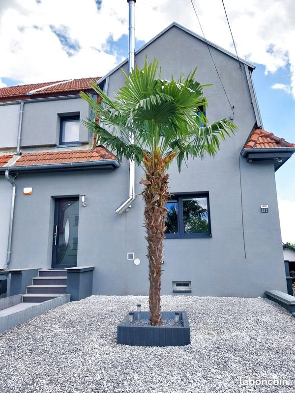 Maison à vendre, 90m², Faulquemont