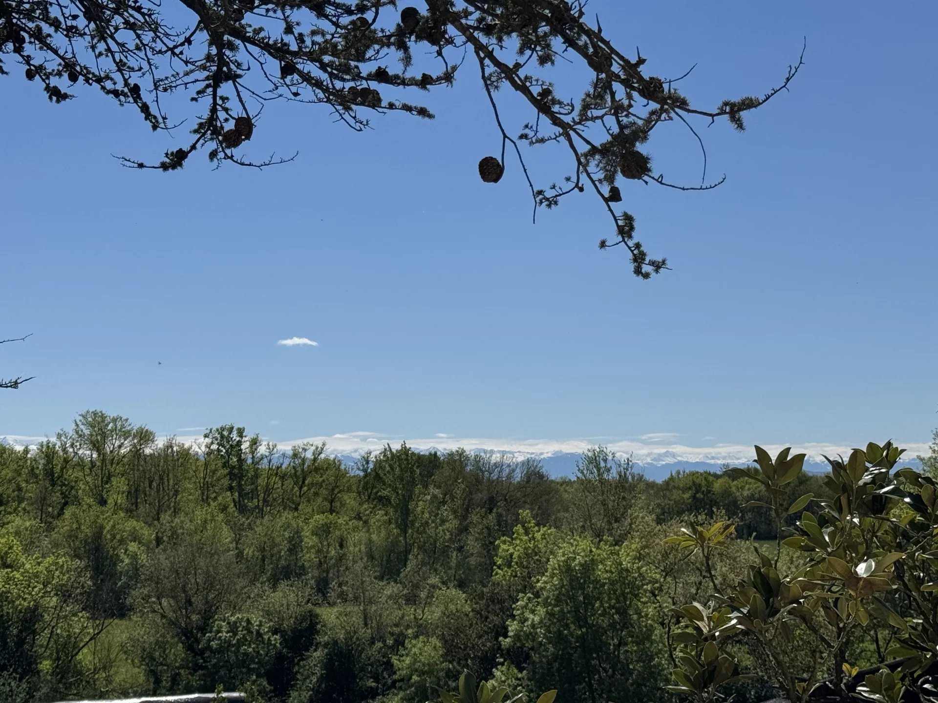 Maison à vendre, 649m², Carbonne