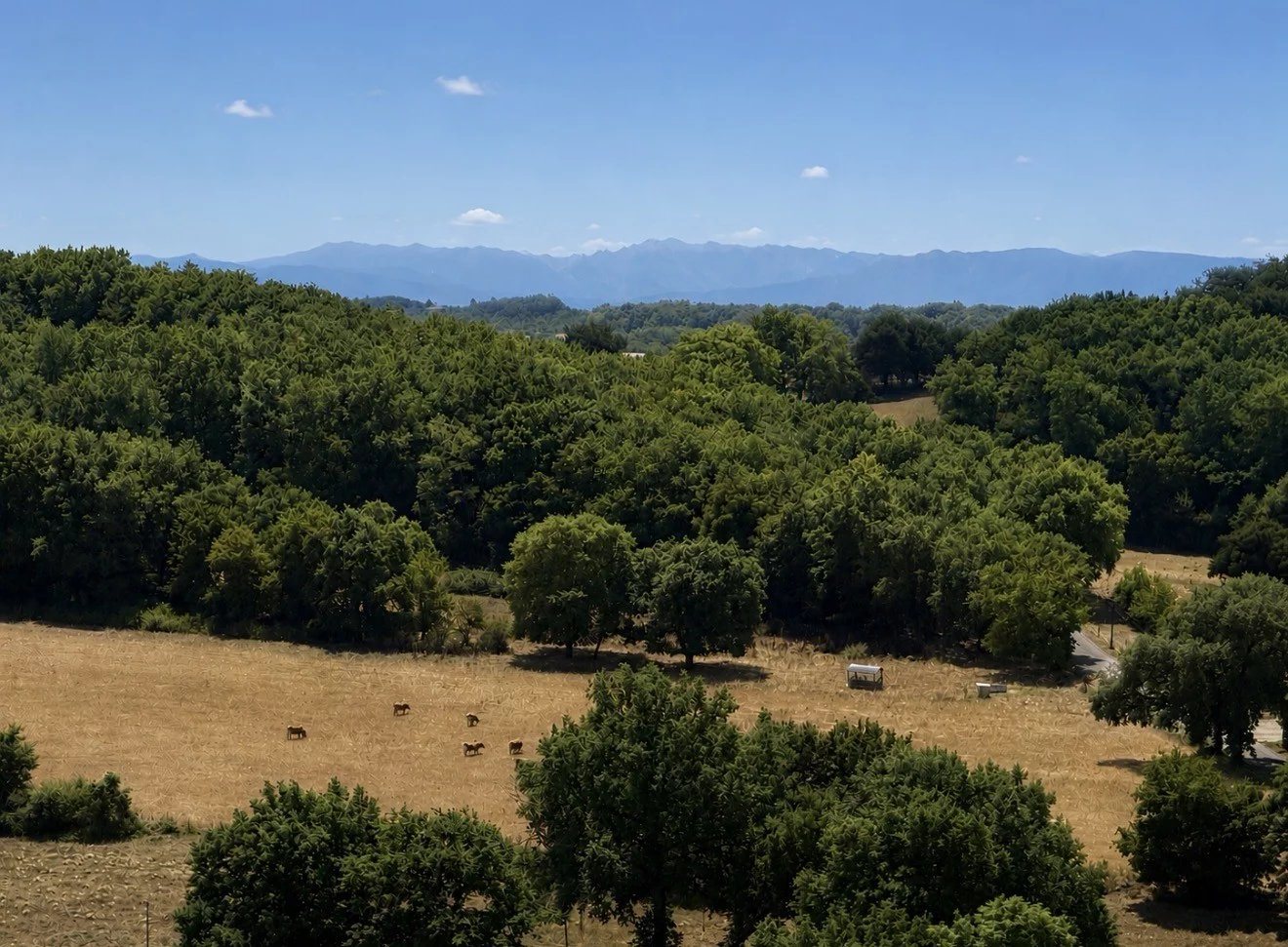 Maison à vendre, 648m², Toulouse