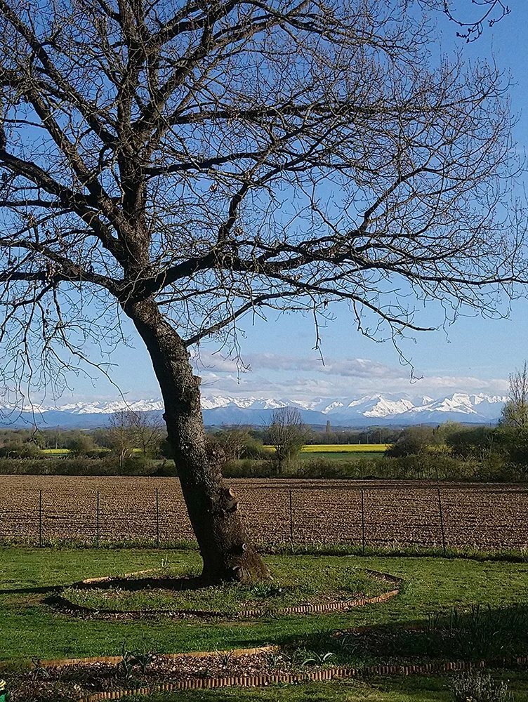 Maison à vendre, 509m², Toulouse