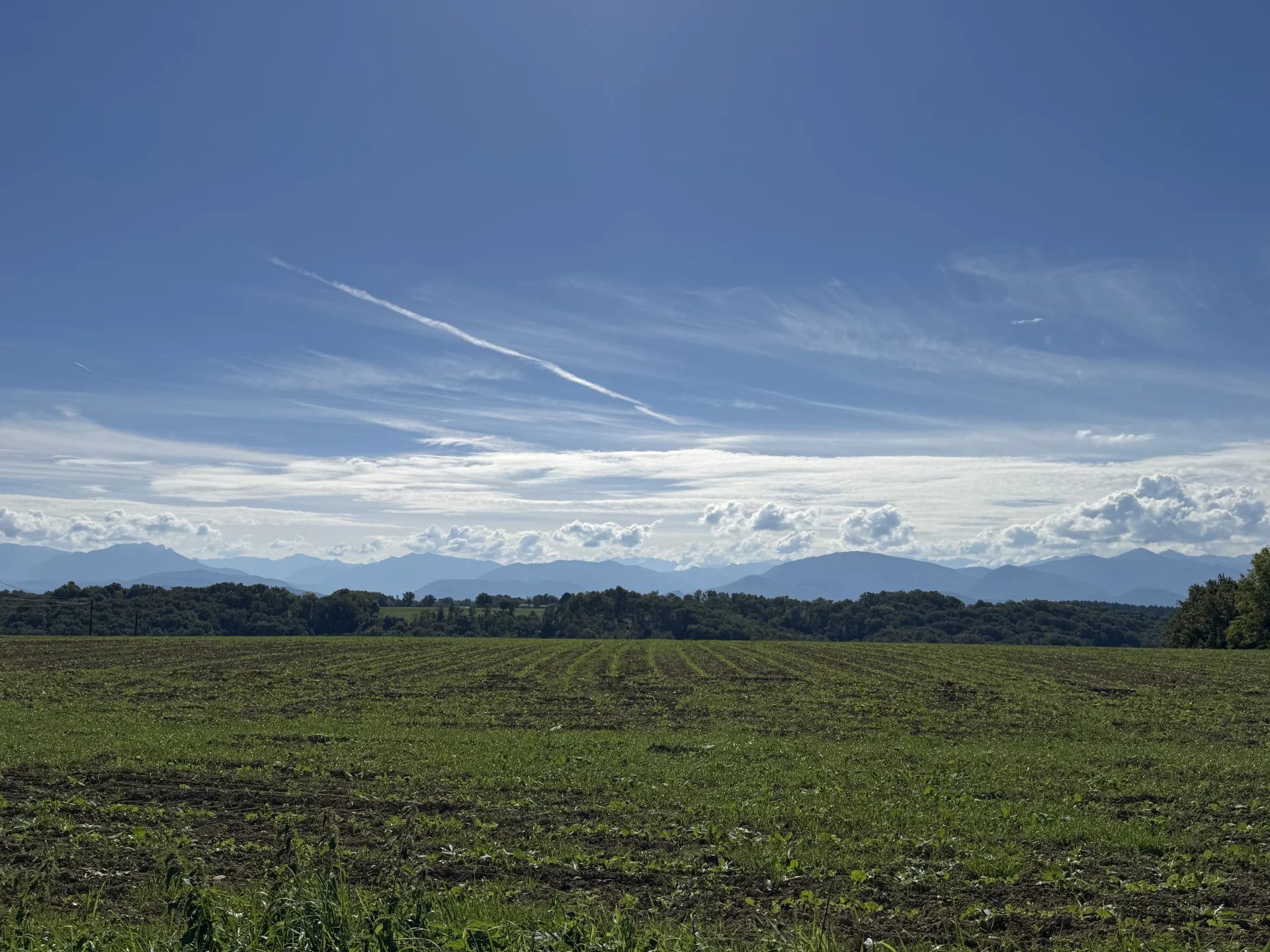 Maison à vendre, 159m², Saint-Plancard