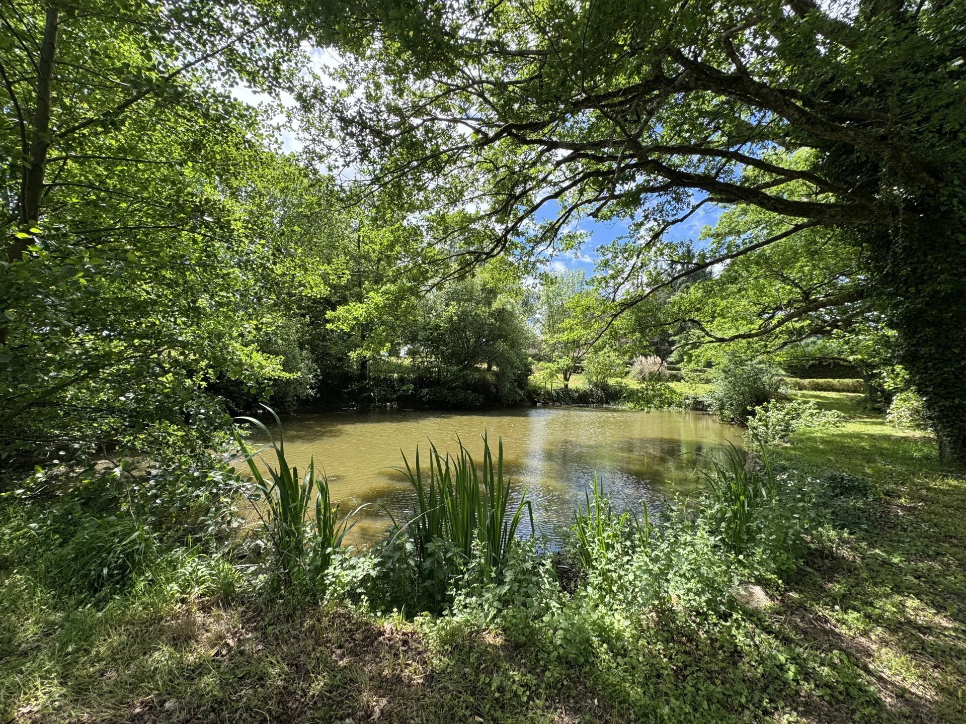 Maison à vendre, 420m², Castelnau-Magnoac