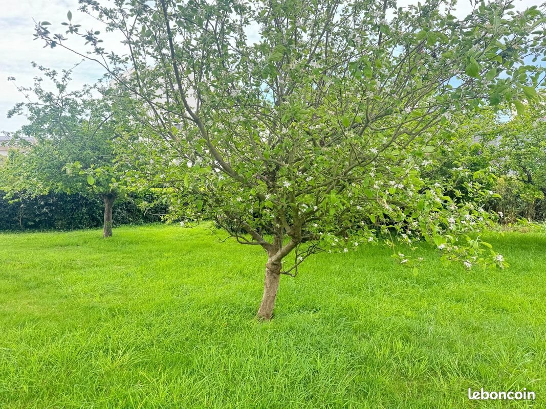 Maison à vendre, 170m², Brest