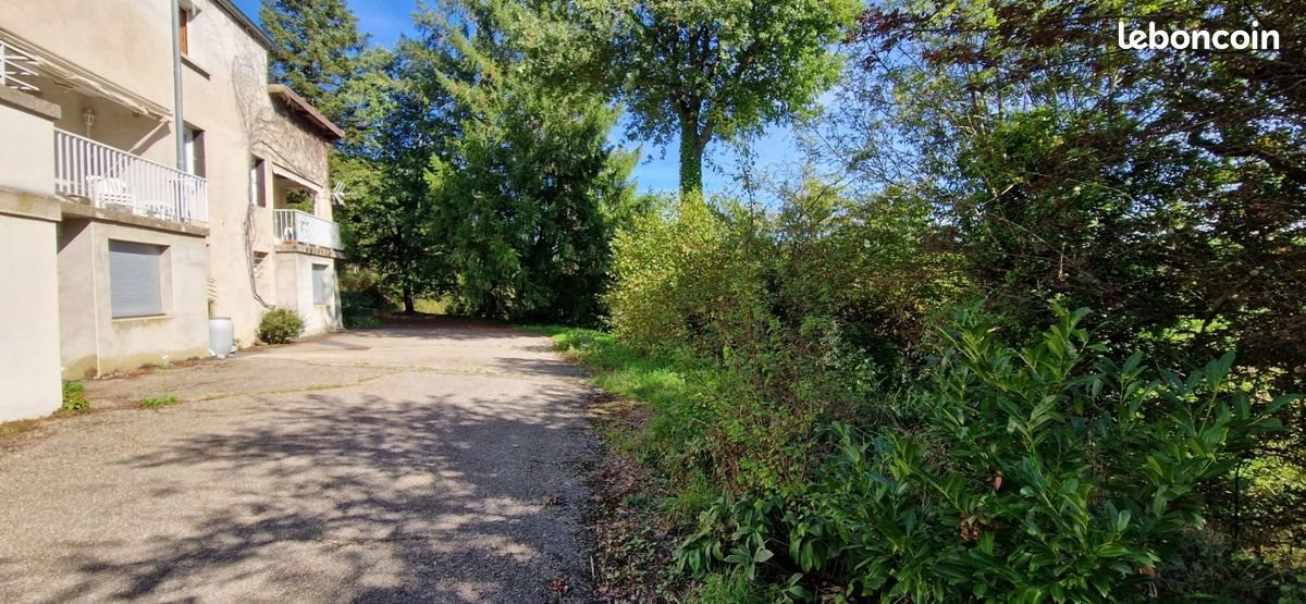 Maison à vendre, 270m², Saint-Galmier