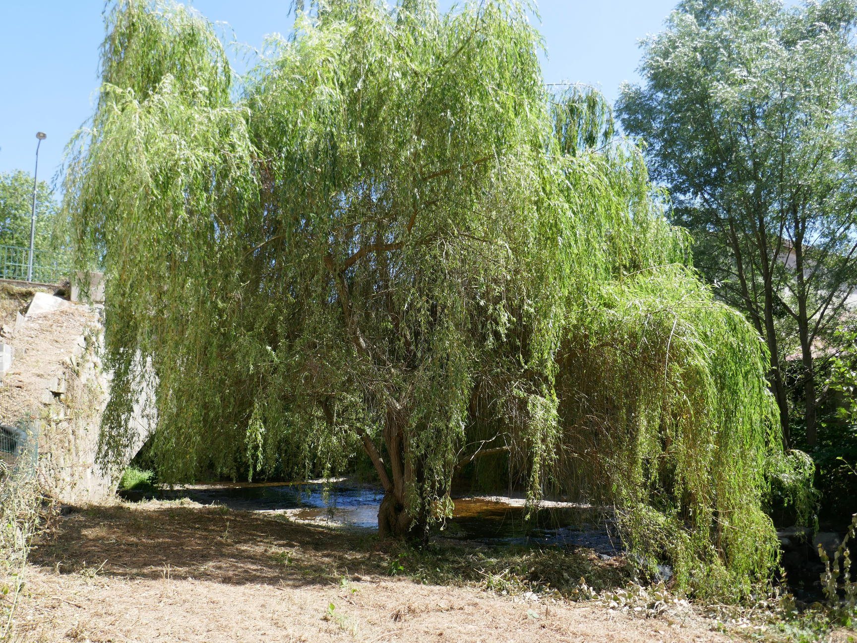 Maison à vendre, 120m², Pont-Salomon