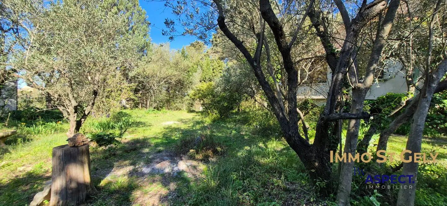 Maison à vendre, 100m², Saint-Vincent-de-Barbeyrargues