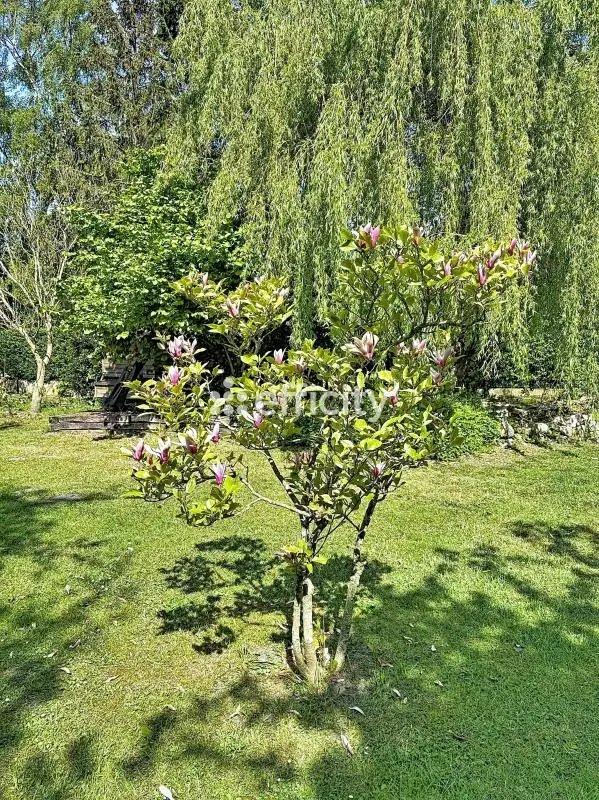 Maison à vendre, 144m², Téteghem