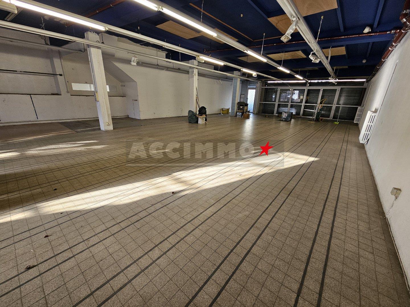 Maison à vendre, 334m², Graulhet