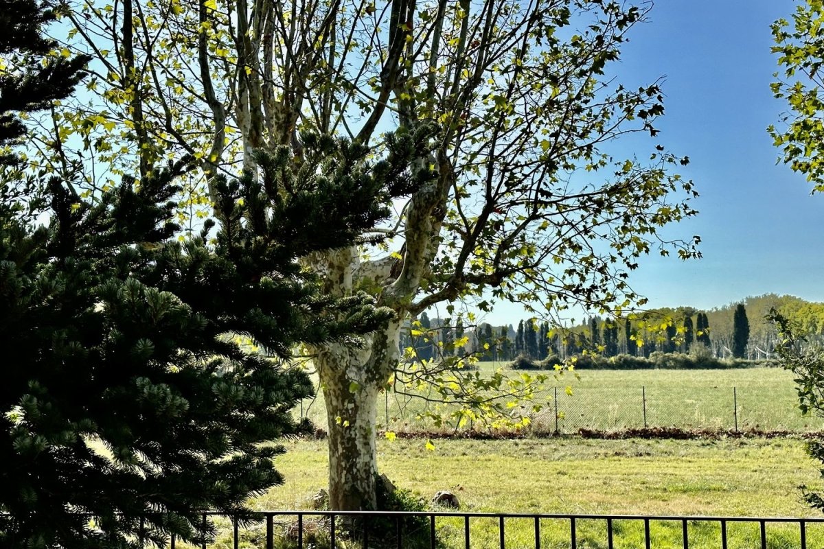 Appartement à louer, 51m², Saint-Cannat