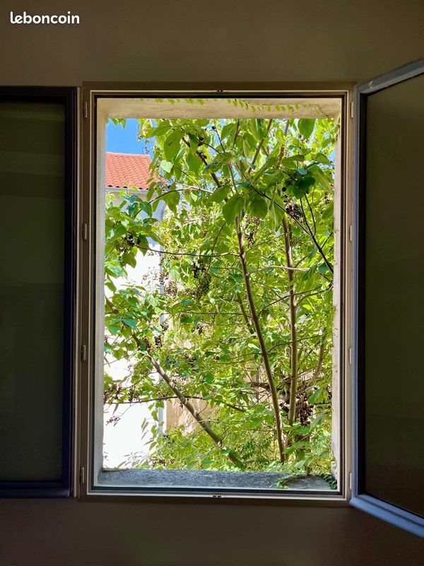 Appartement à louer, 31m², Montpellier
