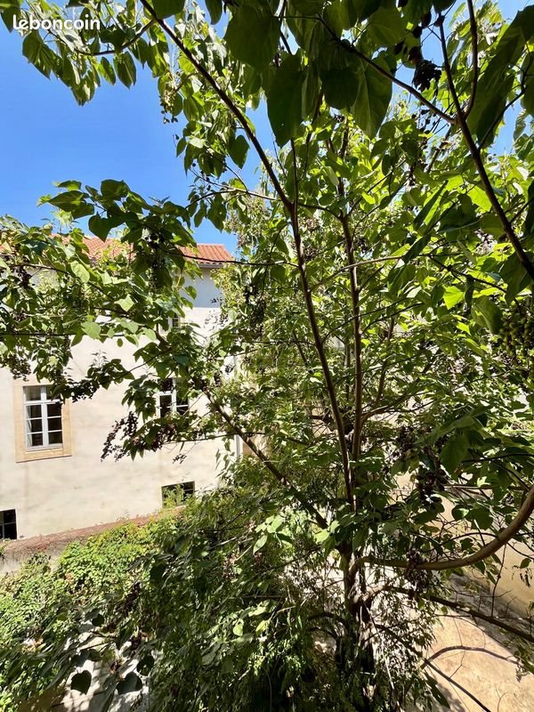 Appartement à louer, 31m², Montpellier
