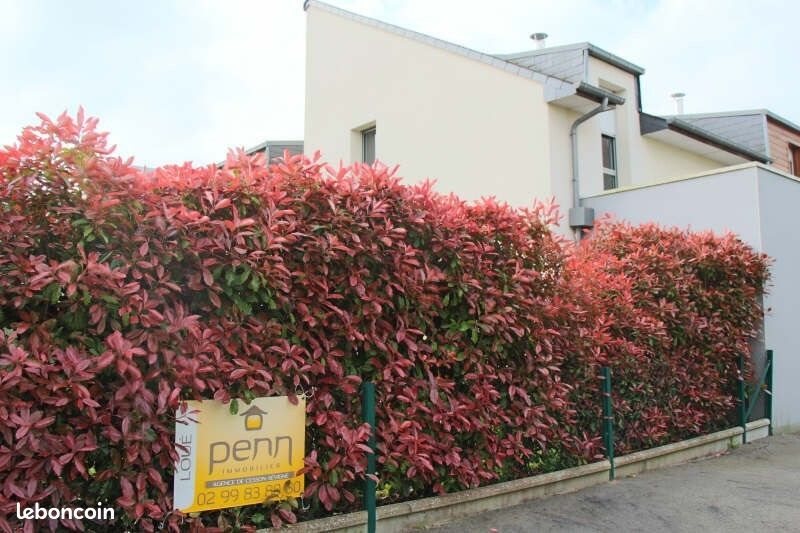Maison à louer, 103m², Cesson-Sévigné