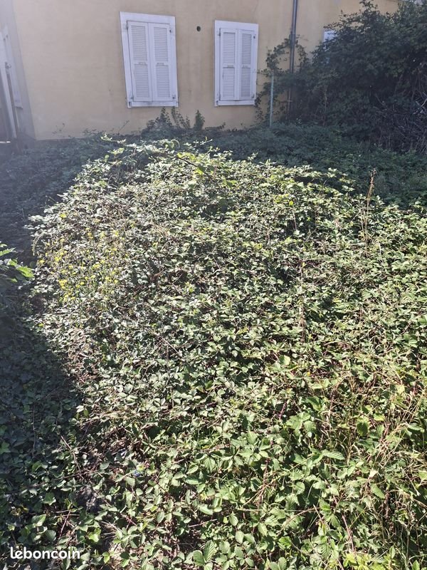 Maison à vendre, 118m², Mulhouse