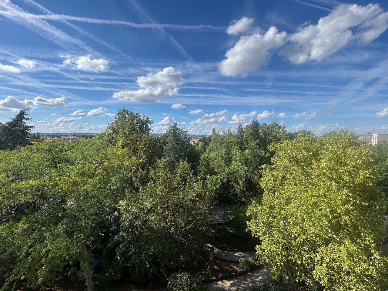Appartement à louer, 78m², Albi