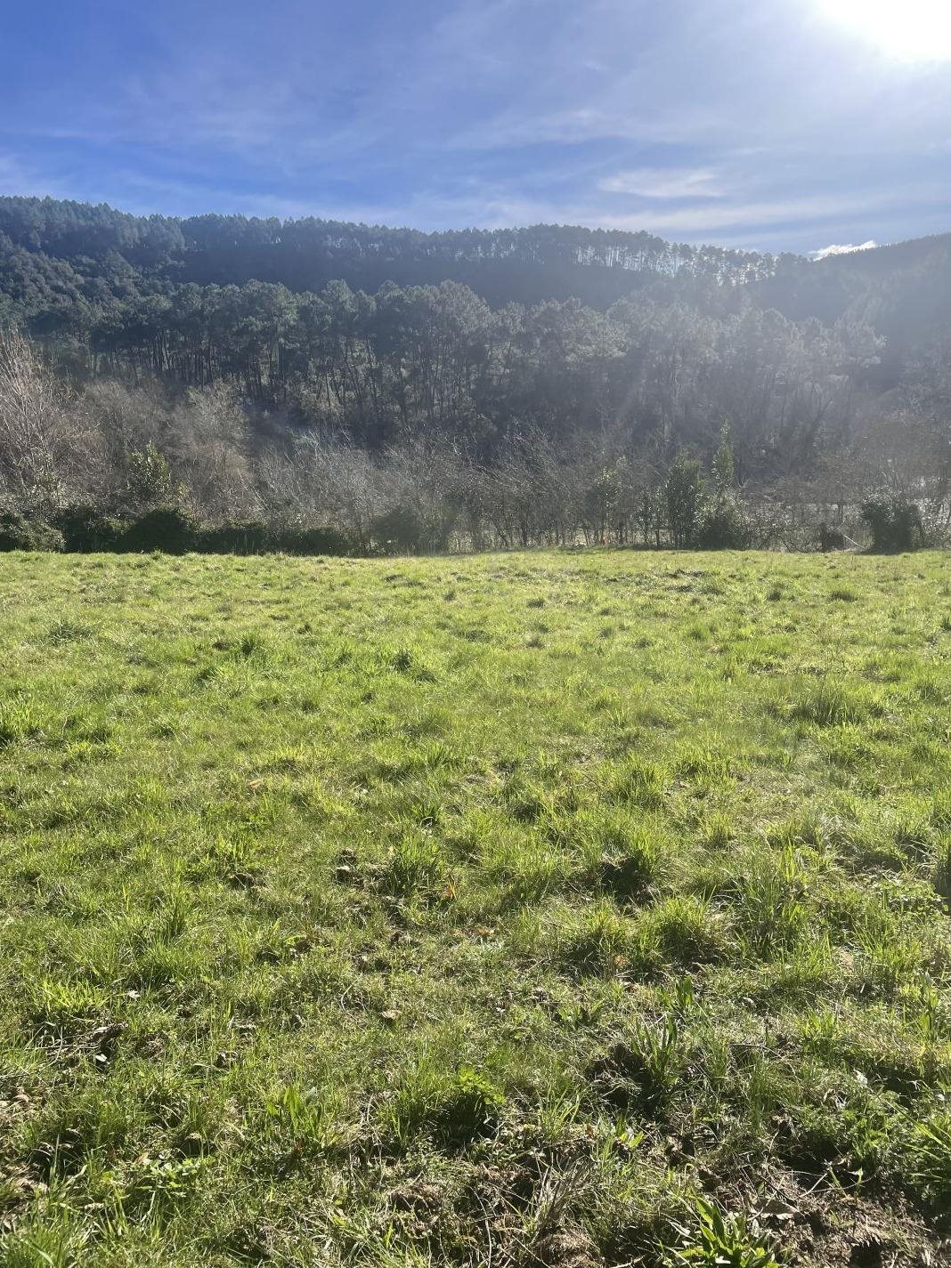 Maison à vendre, 110m², Peyremale