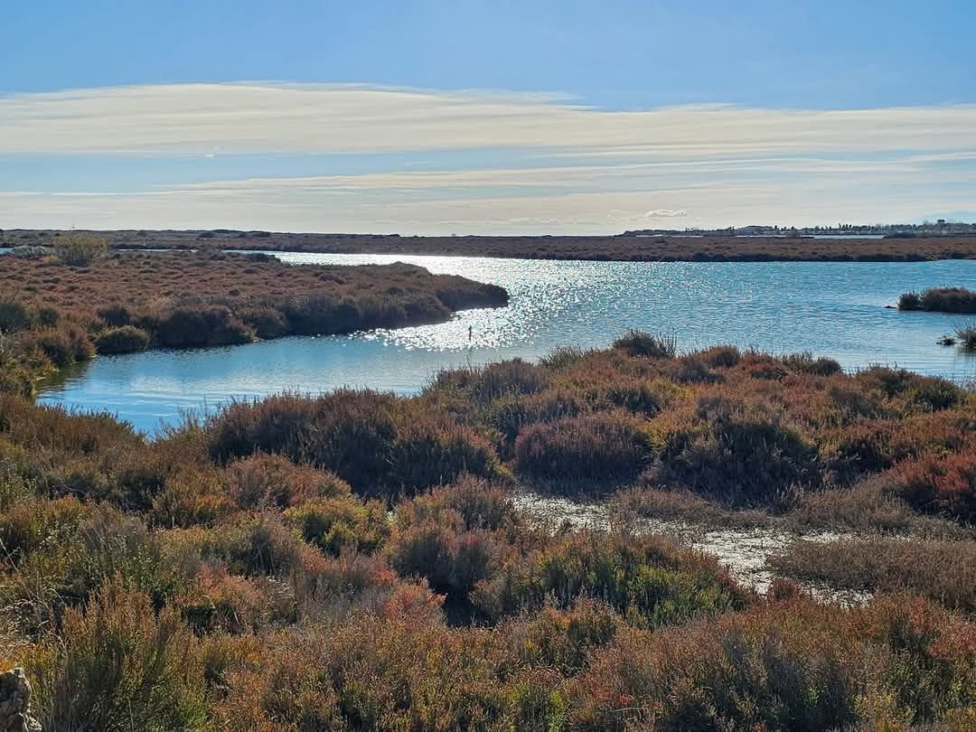 Maison à vendre, 65m², Portiragnes